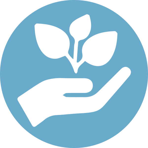 hand holding sapling icon